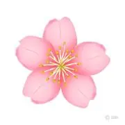 そらごんの画像
