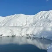 ささの画像