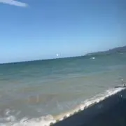 大の画像