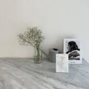 aoの画像