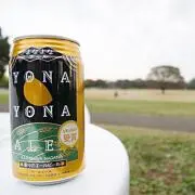 断捨離中のどんぐりの画像