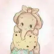 だんぼの画像