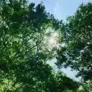 ちぃたま＊暫くお休みします