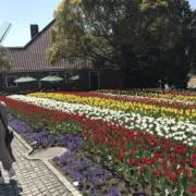maonu※プロフ必読※の画像