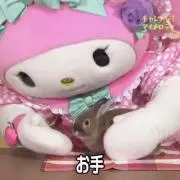 もんちっちの画像