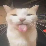 レー　バン　フー　ヤイン