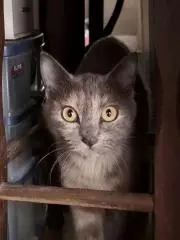 ユタカの画像