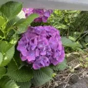 ゆんける【プロフ必読】の画像