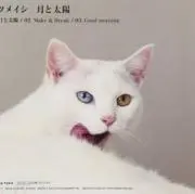 月と太陽の画像