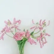flores y verdeの画像