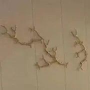 r.Aの画像