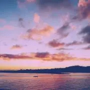 Rの画像