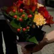 ひなたの画像
