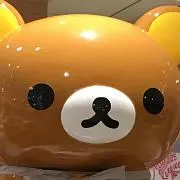 ぽんぽこ21