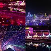福沢の画像