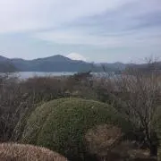 saaの画像