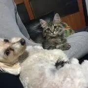 いっちゃ