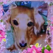 ラム姫ちゃん♦プロフィール必読♦の画像