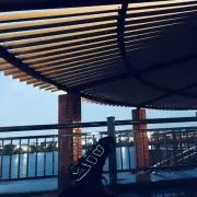 くるみ