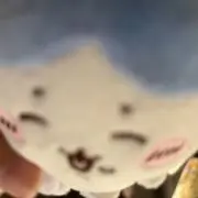 どんぐりの画像