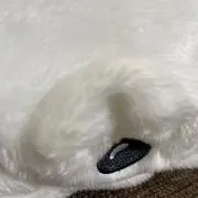 シロクジラの画像