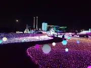 まっちゃの画像