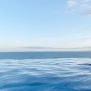 もみの画像
