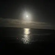 884の画像