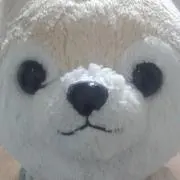 コヤスケ