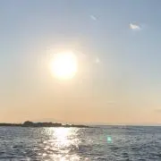 りんりんの画像