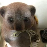 なんの画像