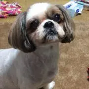 ぐみなちゃん♡