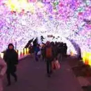 真心の画像