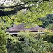 専用帯2221 ○高級 正絹 蒔絵菊 六通 袋帯 - メルカリ