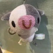 umiの画像