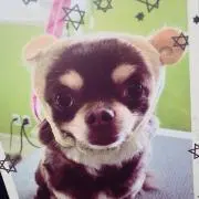 m♡プロフィール確認お願いしますの画像