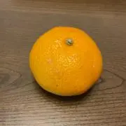 胡麻ニンニクの画像