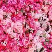 さ♡ 〜断捨離中〜の画像