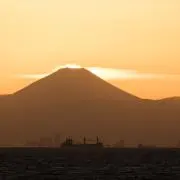 TIMの画像