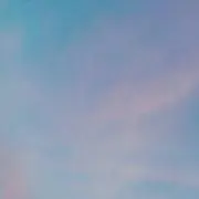 ゴンちゃんの画像