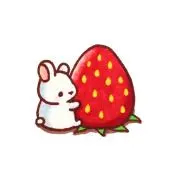⭐️いちご⭐️の画像