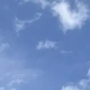 ぽむぽな☺︎の画像