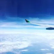ひーこの画像