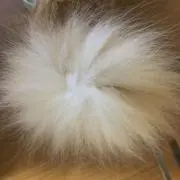 らぷらすの画像