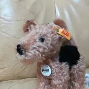 みぃの画像