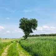 fxmxkaの画像