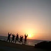 pma1008の画像