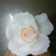 あっこの画像