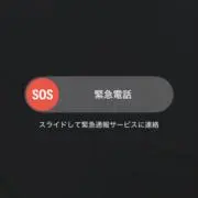 ヨーロッパ県中国市生まれ