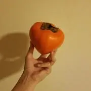 ちーぬの画像